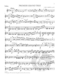 Premier Grand Trio op. 105 (Carl Czerny) 