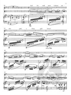 Schilflieder (August Klughardt) 