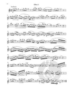 3 konzertante Duos op. 13 von Franz Wilhelm Ferling für zwei Oboen (Violinen) im Alle Noten Shop kaufen