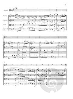 Violakonzert in C-dur von Joseph Schmitt für Viola und Orchester im Alle Noten Shop kaufen (Partitur)