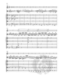 Violakonzert in C-dur von Joseph Schmitt für Viola und Orchester im Alle Noten Shop kaufen (Partitur)