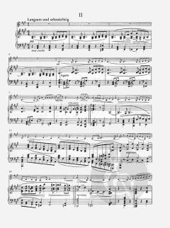 1. Sonate in d-Moll von Fritz Brun für Violine und Klavier im Alle Noten Shop kaufen