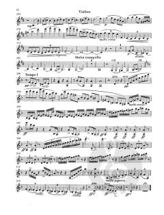 1. Sonate in d-Moll von Fritz Brun für Violine und Klavier im Alle Noten Shop kaufen