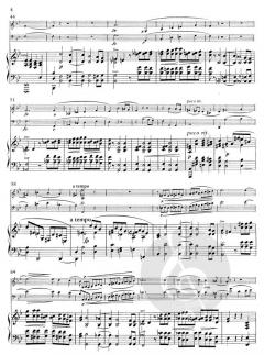 Trio in g-moll op. 17 (Clara Schumann) 