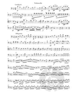 3 Duos für Viola und Violoncello von Franz Danzi 