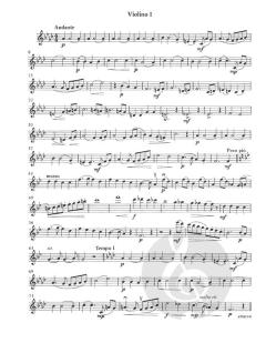 Quintett op. 63 (Willy Hess) 