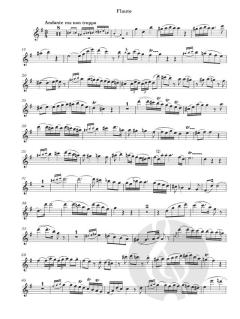 Konzert in D-dur für Flöte und Orchester KV 314 von Wolfgang Amadeus Mozart im Alle Noten Shop kaufen