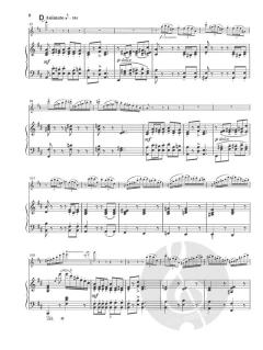 Konzert in D-dur für Flöte und Orchester, op. 283 von Carl Reinecke im Alle Noten Shop kaufen