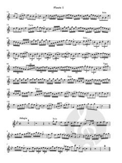 Concerto comique in C-dur op. 8/3 (Michel Corrette) 