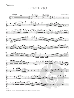Konzert für Flöte und Orchester von Friedrich Witt im Alle Noten Shop kaufen