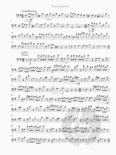 Due Sonate per flauto dolce e basso continuo (Tomaso Albinoni) 