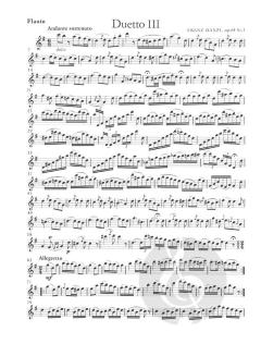 3 Duos für Flöte und Violoncello op. 64 (Franz Danzi) 