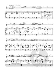 Concertino für Flöte und Orchester (Charles Gounod) 