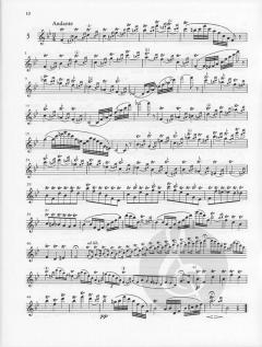 24 Caprices-Etudes op. 26 von Theobald Böhm für Flöte solo im Alle Noten Shop kaufen