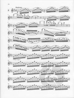 24 Caprices-Etudes op. 26 von Theobald Böhm für Flöte solo im Alle Noten Shop kaufen