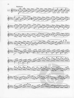 24 Caprices-Etudes op. 26 von Theobald Böhm für Flöte solo im Alle Noten Shop kaufen