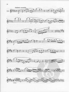 24 Caprices-Etudes op. 26 von Theobald Böhm für Flöte solo im Alle Noten Shop kaufen