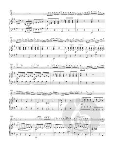 Konzert für Flöte und Orchester Nr. 12 in G-dur von Antonio Rosetti im Alle Noten Shop kaufen