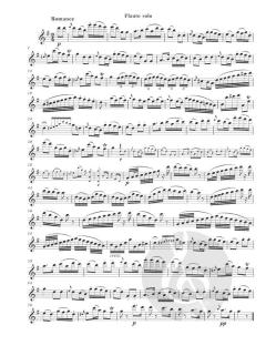 Konzert für Flöte und Orchester Nr. 12 in G-dur von Antonio Rosetti im Alle Noten Shop kaufen