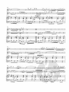 Triosonate in e-moll (Johann Gottlieb Janitsch) 