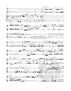 Concerto in G-dur von Domenico Cimarosa für 2 Flöten und Orchester im Alle Noten Shop kaufen