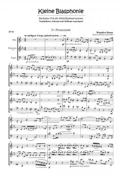 Kleine Blasphonie von Wendelin Bitzan für Holzbläser Trio im Alle Noten Shop kaufen