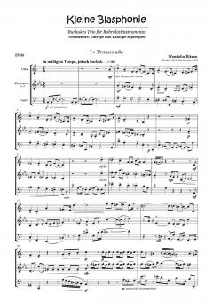 Kleine Blasphonie von Wendelin Bitzan für Holzbläser Trio im Alle Noten Shop kaufen