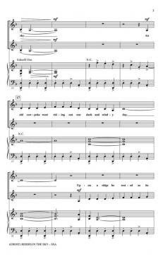 (Ghost) Riders In The Sky von Stan Jones (Download) 