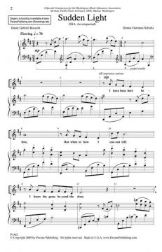 Sudden Light (Donna Schultz) 