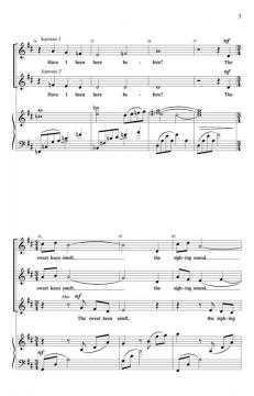 Sudden Light (Donna Schultz) 