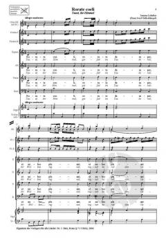 Rorate coeli (Joannes Lohelius) 