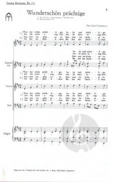 Wunderschön prächtige (Josef Lammerz) 