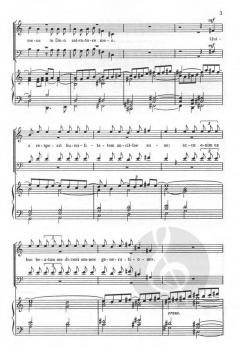 Festliches Magnificat op. 50 mit Orgel (Josef Butz) 