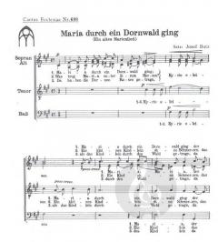 Maria durch ein Dornwald ging (Josef Butz) 