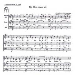 Dir Herr singen wir 