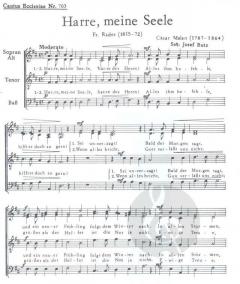 Harre meine Seele 