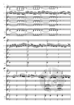 Salve Regina op. 134 von Anton Diabelli für Soli, SATB, Orchester Solo-Vl oder Solo-Fl, Hr I, II, Trp I, II, Vc und Orgel im Alle Noten Shop kaufen (Partitur)