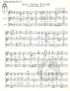 Jesu, meine Freude BWV 227 (J.S. Bach) 