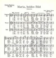 Maria, holdes Bild (Ignaz Heim) 