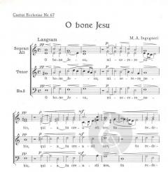 O bone Jesu (Marc Antonio Ingegneri) 