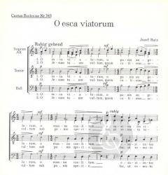O esca viatorum (Josef Butz) 