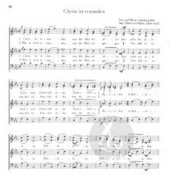 Die Feier der Osternacht (Herbert Paulmichl) 