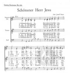 Schönster Herr Jesus (Josef Butz) 