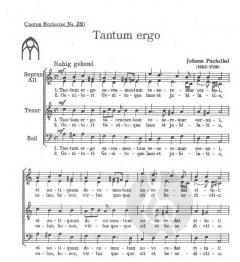Tantum ergo (Johann Pachelbel) 