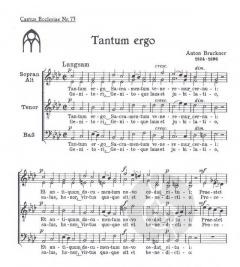 Tantum ergo (Anton Bruckner) 