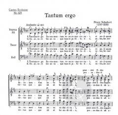 Tantum ergo (D-Dur) (Franz Schubert) 
