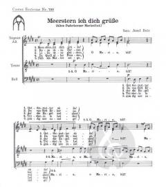 Meerstern, ich dich grüsse (Josef Butz) 