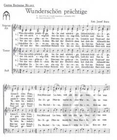 Wunderschön prächtige (Josef Butz) 