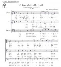 O Traurigkeit, o Herzeleid (Herbert Paulmichl) 
