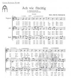 Ach wie flüchtig (Bernhard Hemmerle) 